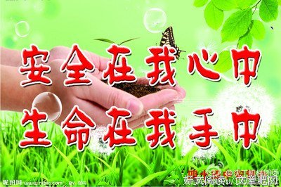 和电风扇一起摇头读后感摘抄