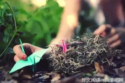 关于柴米油盐的唯美语录