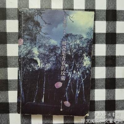 被窝是青春的坟墓名句欣赏