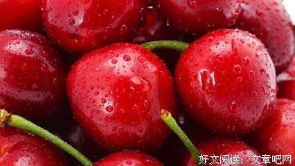 剑客信条优美的句子
