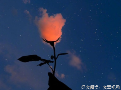 有关网易云热评的句子