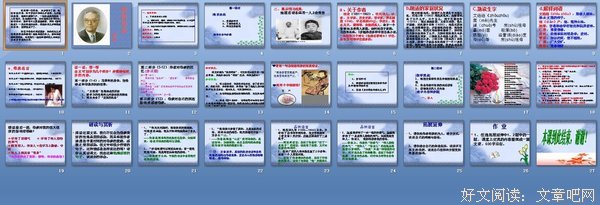 有关我的生一年那事中开的句子