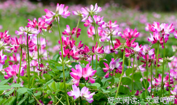 衣带渐宽终不悔，为伊消得人憔悴经典的句子