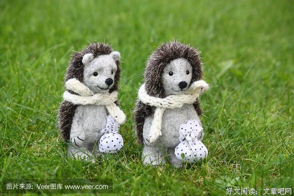 最全的《流浪》经典的句子大全