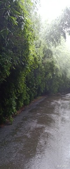最全的《清明》佳句摘抄大全