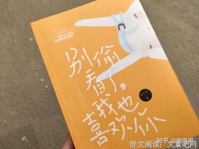别偷看了，我也喜欢你的读后感大全