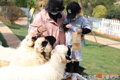 交朋友的方法读后感摘抄