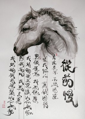 从前慢书系·养一缸荷，养一缸菱读后感1000字