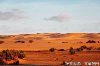 巫医、动物与我读后感锦集