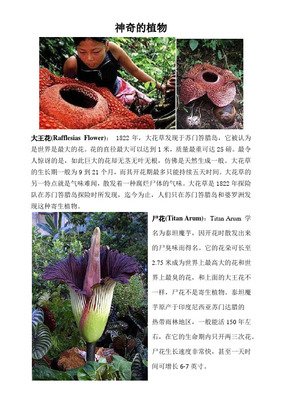 《影响世界的中国植物》读后感精选