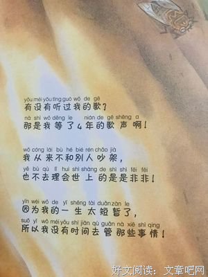 蝉读后感锦集