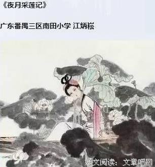 逛动物园是件正经事的读后感大全