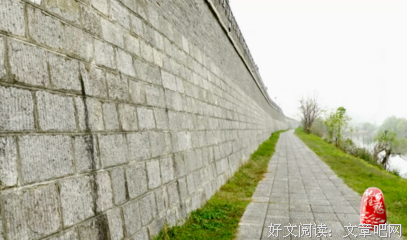 《苔藓》好看吗？经典观后感锦集