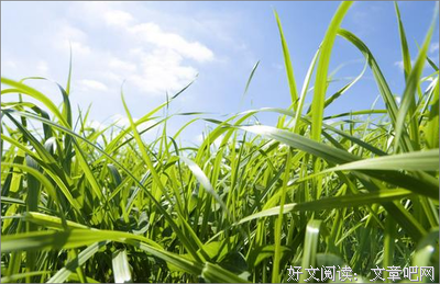 一事无成的句子