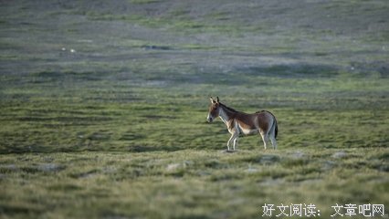 《饥饿难耐》的影评大全