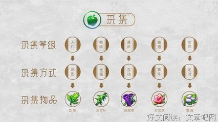 《厨艺大师(美版) 第一季》经典观后感1000字