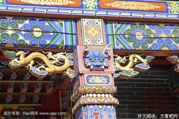 信念影响健康和老化