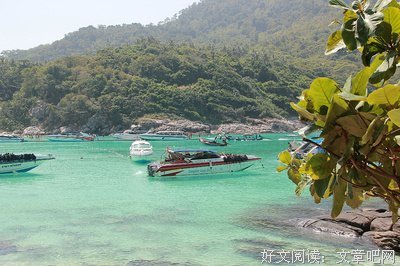 《不顺心的时候回来看看》的句子