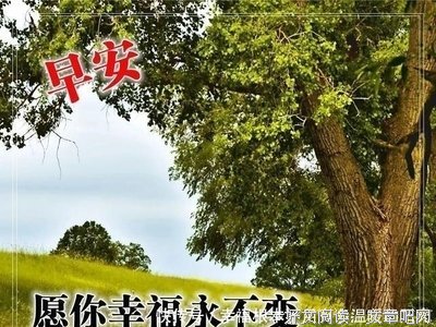 《心静》的句子