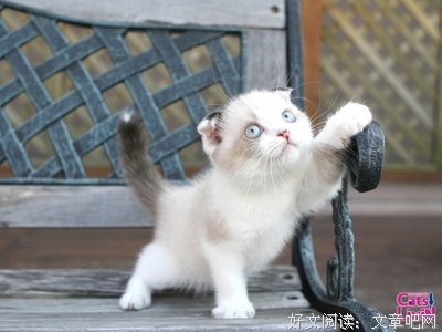 《夏么觉》的句子