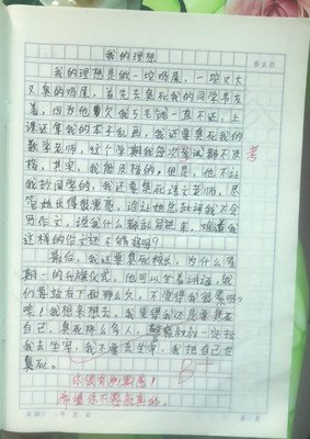 鸡屎经典的句子