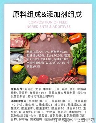 猫和鱼经典名句
