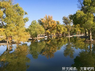 凡尘清心的句子