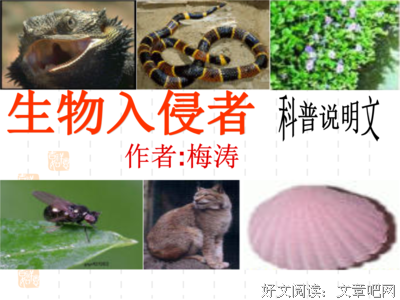 作自对的夫考句子大全