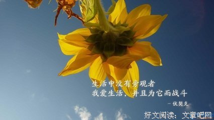 关于如能遗忘的会对子的优美句子