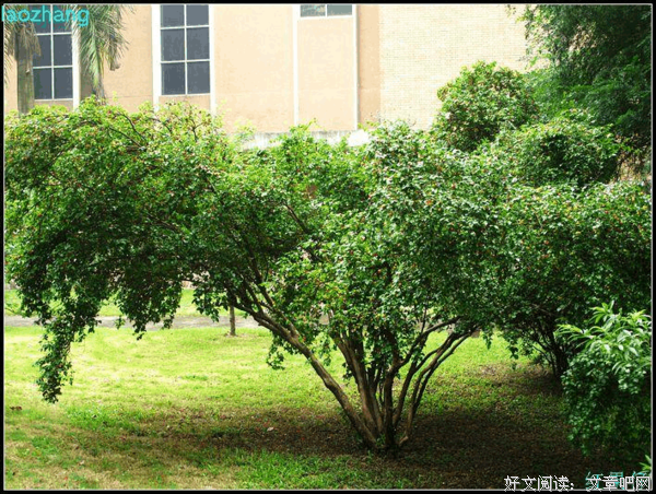 我地时作道语录