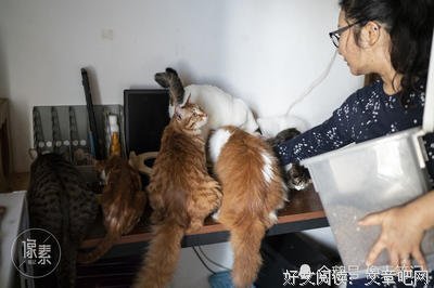 有关我看上你你一会路路往亮开成的句子