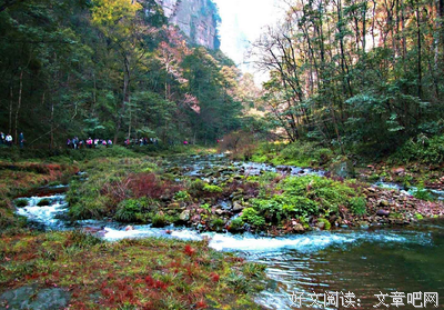 年，隆重而来，悄然而去