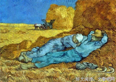 《梵高：画语人生》的影评大全