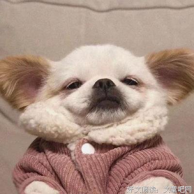你说，莫失莫忘，后来，梦里花凉的优美句子