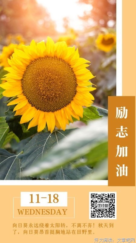 鼓励语录
