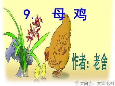 柒个我优美的句子