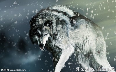 最经典的《狼狗》语录摘抄大全