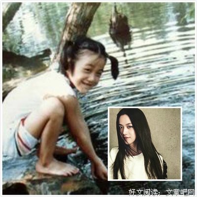 最新的《白鹭》经典语句