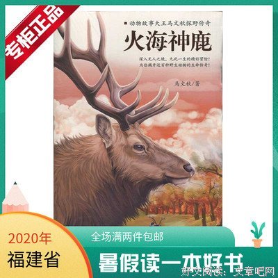 动物故事大王马文秋丛林探险动物故事（全4册）经典读后感有感