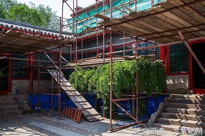 弟子规：彩图注音版读后感锦集
