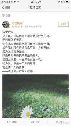 《我有弱点，可我并不软弱》读后感锦集