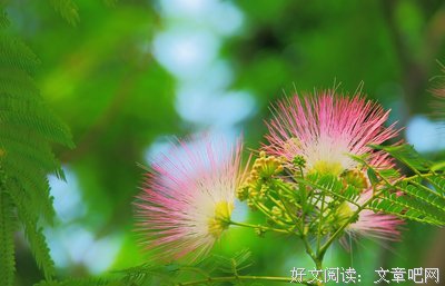 关于心平气和的座右铭