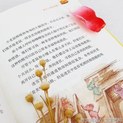 《人生哲思录》读后感1000字