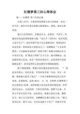 荣国府的经济账读后感100字