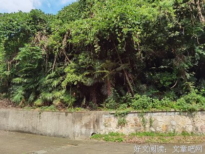 《日近长安远》读后感100字
