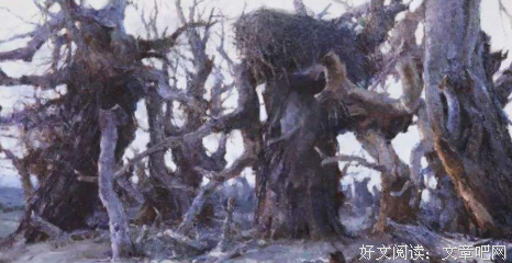 我之谜读后感精选