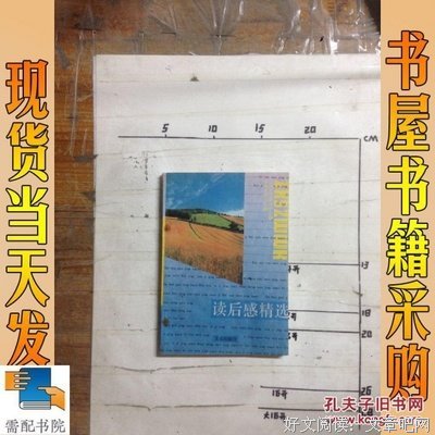 《Normal People》读后感精选