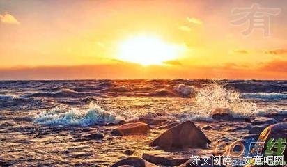 《斗鸡人》影评摘抄