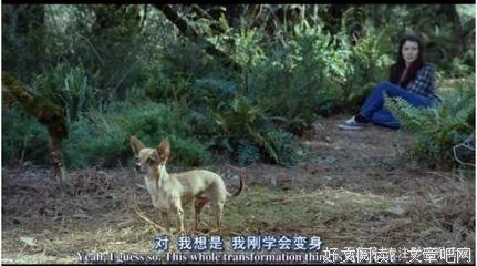 《暮色大电影》经典观后感集