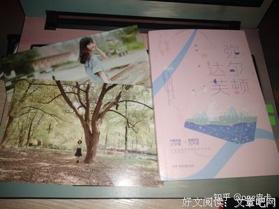 弥尔顿达芙读后感100字